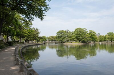 大阪市住吉区の万代池公園をイメージした池と緑の風景